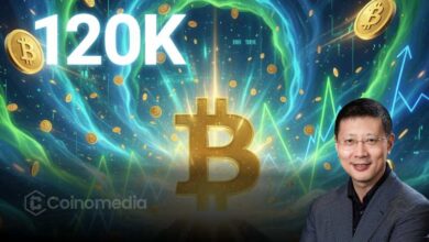 Shenyu Reveals Private Key Vulnerability Gave US 120K BTC