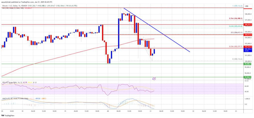 Bitcoin Capai $109.000: Analisis Tren dan Potensi Pergerakan (21/1/25) image 0