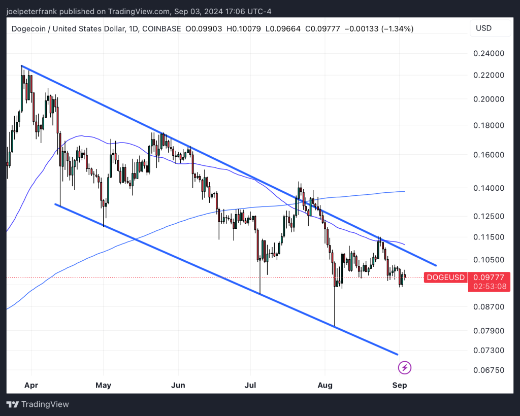 Dogecoin Community Flocks to Exciting “11 Cent” ICO with Eyes on 1,000% Gains image 1