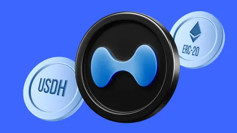 Native Markets devient l'émetteur du stablecoin USDH de Hyperliquid