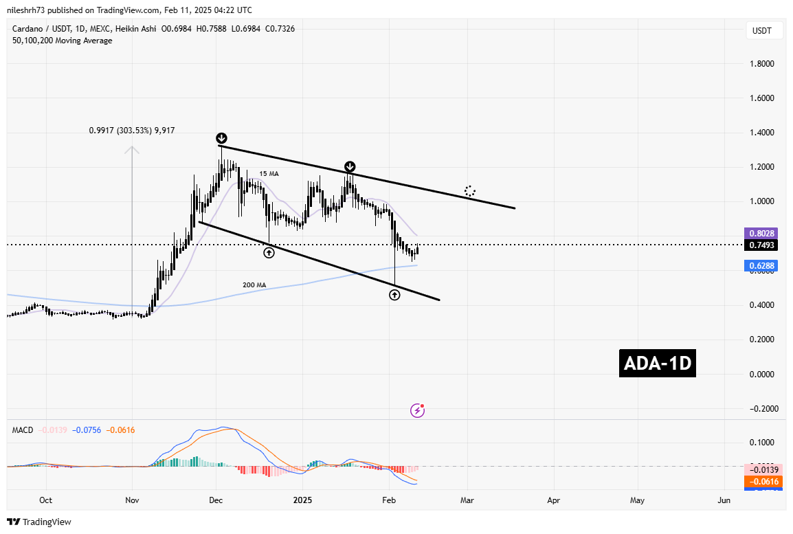 Cardano (ADA) Bounces Back from Recent Lows – Will This Recovery Lead to a Rally Above $1? image 1