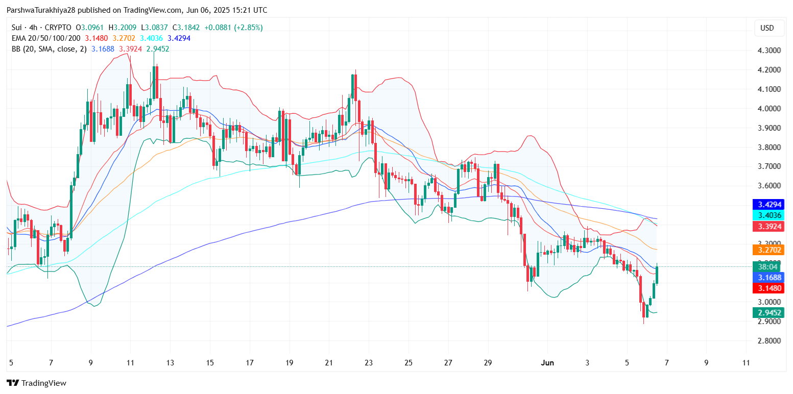 SUI Price Prediction for June 07, 2025: Can Bulls Sustain the Recovery Toward $3.40 Resistance? image 3