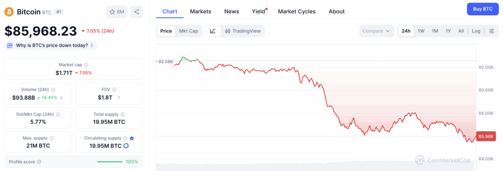 Trader Nilai Bitcoin Sulit Tembus US$200.000, Target Realistis di 2029 image 0