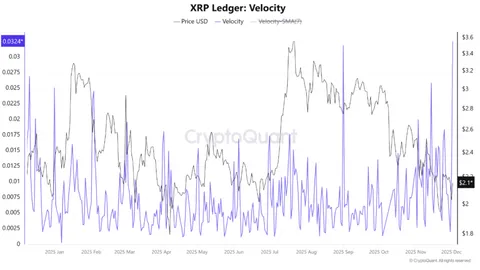XRP ETF встановлюють рекорди, шорт-селери встановлюють ціни