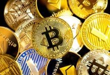 Diese Altcoins nehmen Fahrt auf, während der Bitcoin kämpft