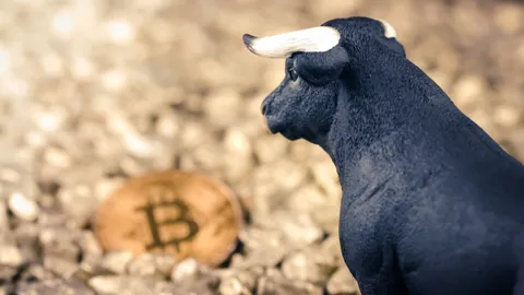 Bitcoin Holds Steady Amid Massive Withdrawals: What’s Next for Prices?