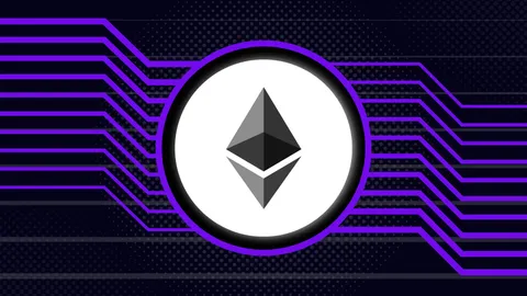 Ethereum Whales Increase Holdings as ETF Anticipation Boosts Market Confidence