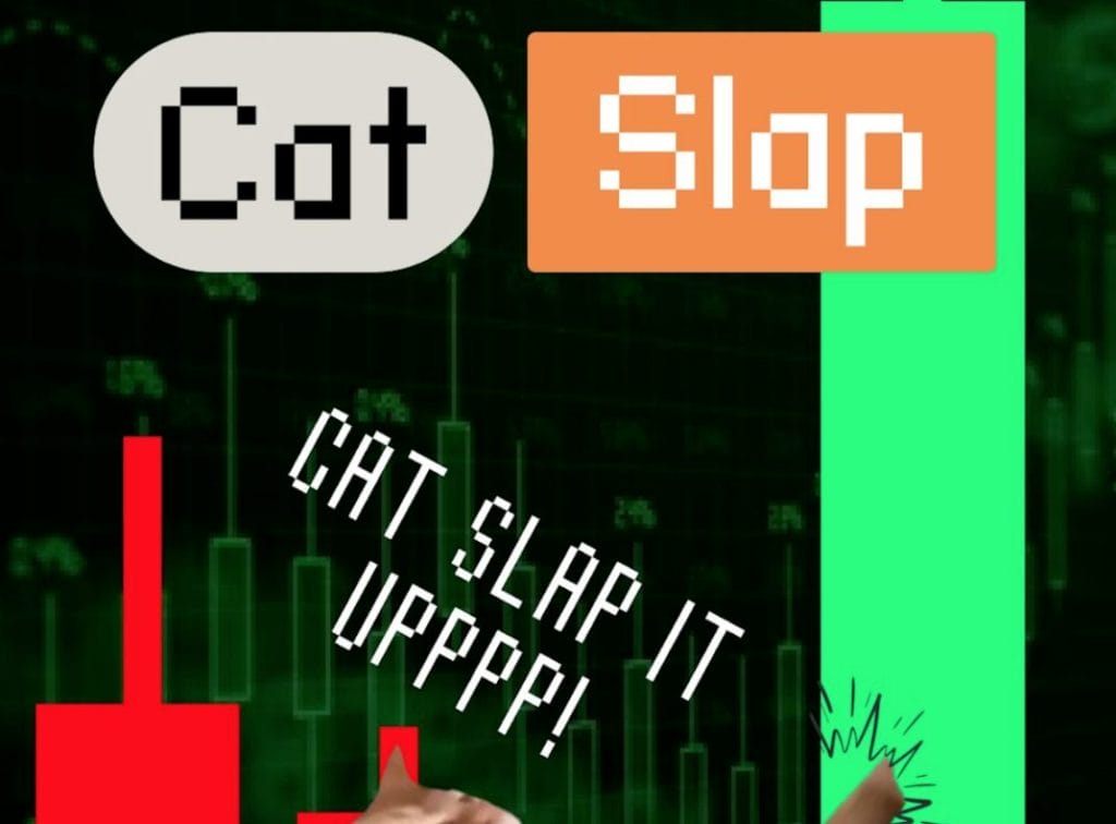 CHILLGUY augmente, mais son challenger, Catslap (SLAP), qui n’a pas de soucis juridiques, pourrait bien être un meilleur achat ; hausse de 51% aujour image 0