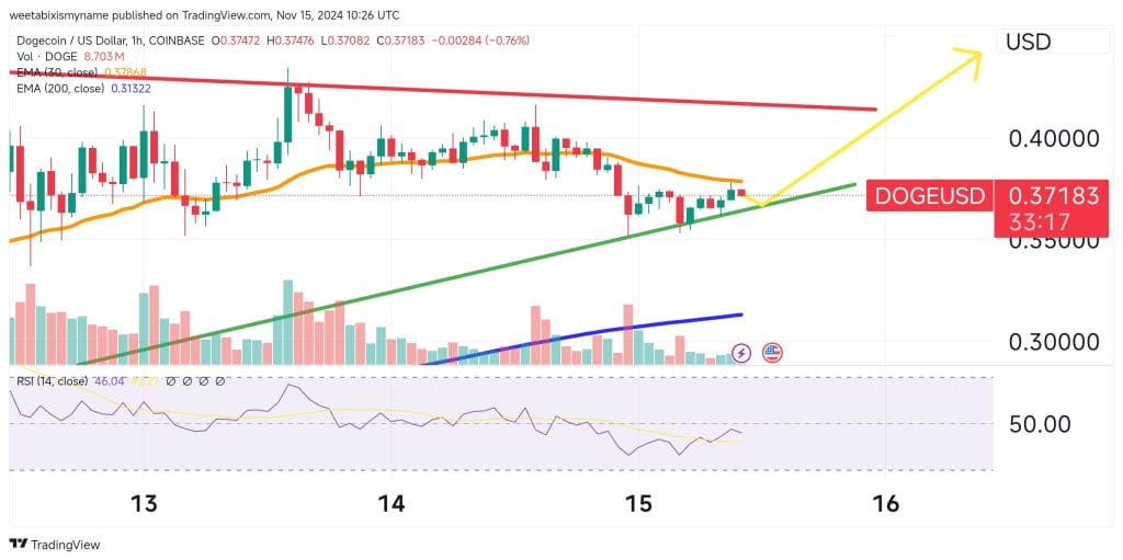 Dogecoin Volume Hits $20 Billion As Whales Accumulate – Is a Big Price Move Coming? image 1