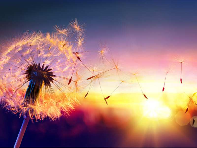 美股异动 | 慧与科技(HPE.US)盘前跌9% 2026财年Q1营收展望远逊预期