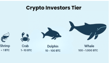 Таємний сценарій крипторинку: як кити керують 90% трейдерів і як тобі перестати бути «ліквідністю» image 1