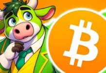Krypto-App Venga nun auf Katalanisch und Spanisch verfügbar