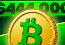 Bitcoin Prognose von Trading-Guru Josh Mandell: Am 8.11.2025 steht BTC bei 444.000 Dollar – jetzt noch investieren?