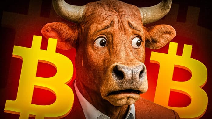 Top-Analyst sagt voraus: „Der Bullrun endet in 40 Tagen“ – mit einer „Q4 Explosion“! Was bringt der „finale Push“? image 0