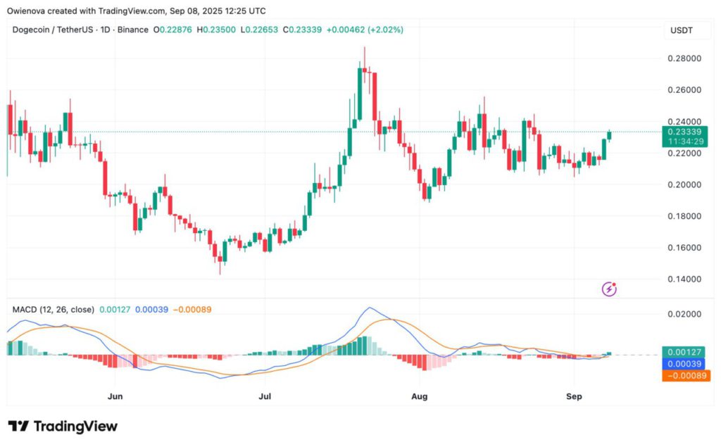 Apakah Dogecoin (DOGE) Akan Melonjak Melewati $0,23804? Simak Analisis Terbaru! image 0