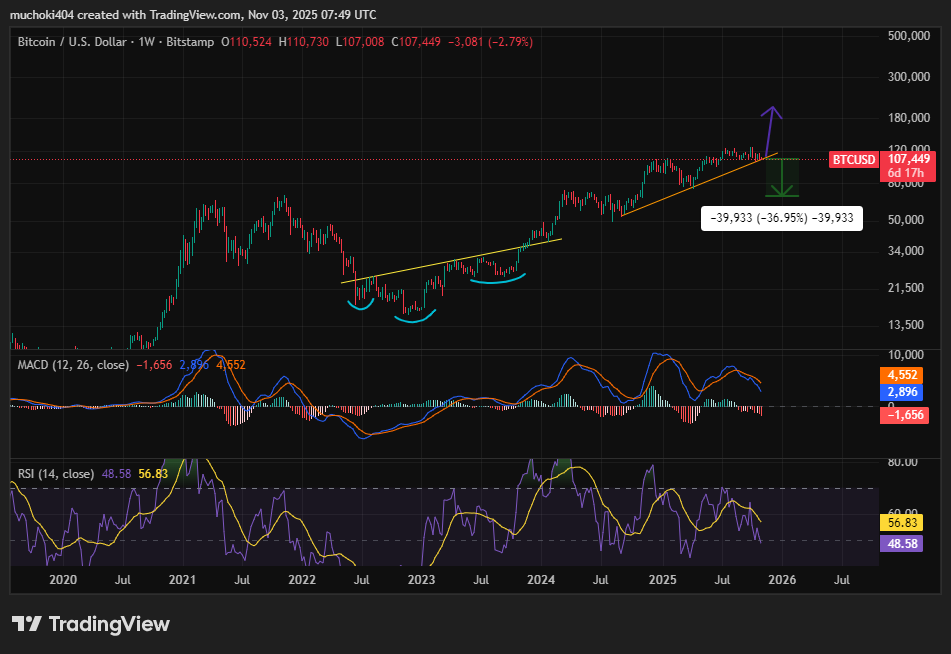 Bitcoin Bull Run di Persimpangan Jalan Utama Saat Paus Turun; Apa selanjutnya? image 5