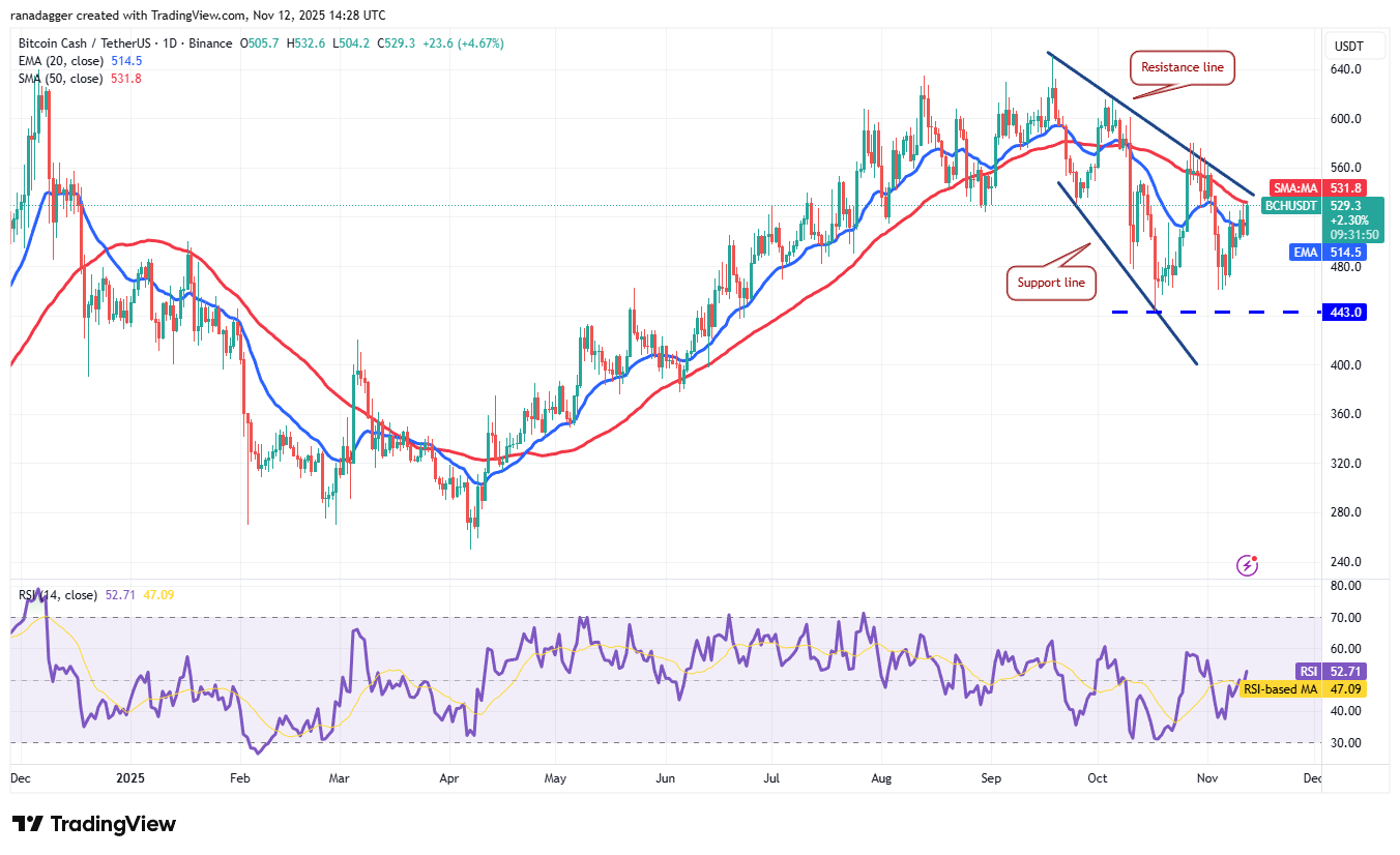 價格預測 11/12：BTC、ETH、XRP、BNB、SOL、DOGE、ADA、HYPE、LINK、BCH image 10
