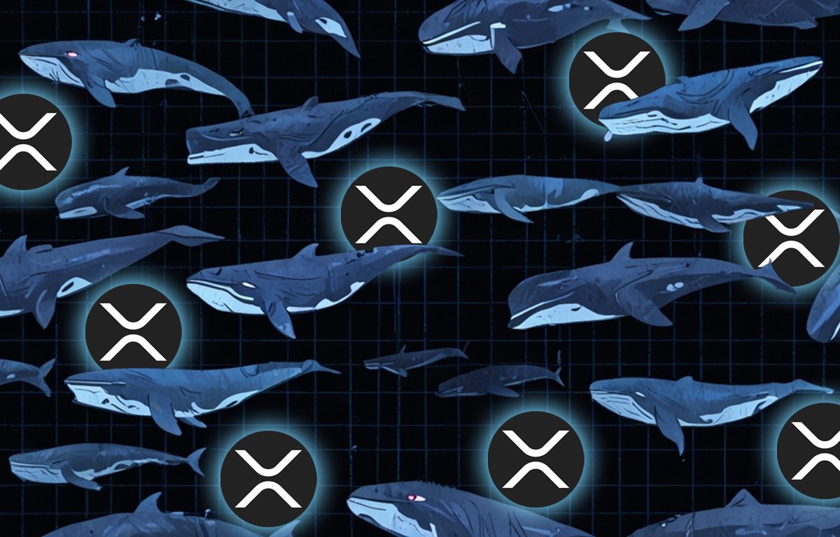 New Data: XRP Whale Holdings are Surging – Is a Big Breakout Coming? image 0