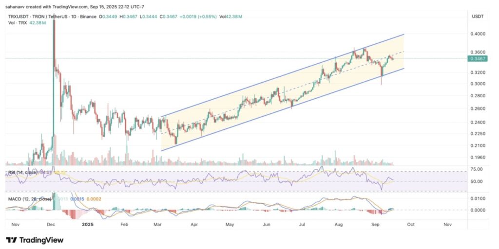 Top 5 Crypto yang Lagi Diperhatikan Karena Naiknya Aktivitas Perdagangan image 1