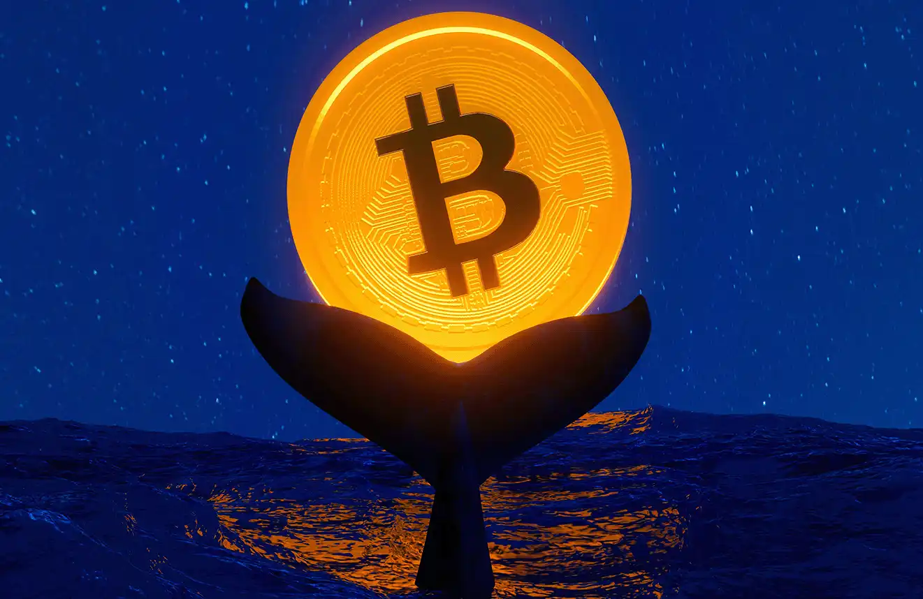 Uncovering the top Bitcoin holders: Global wallet address analysis and  holdings | Bitget News