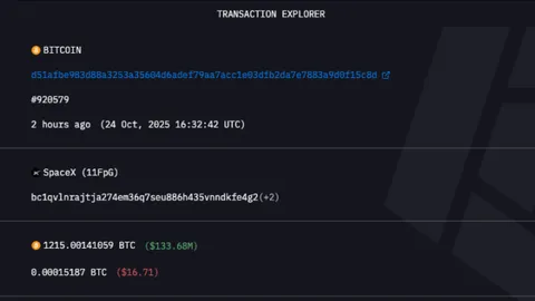 SpaceX của Elon Musk bị phát hiện chuyển Bitcoin trị giá 133 triệu đô la