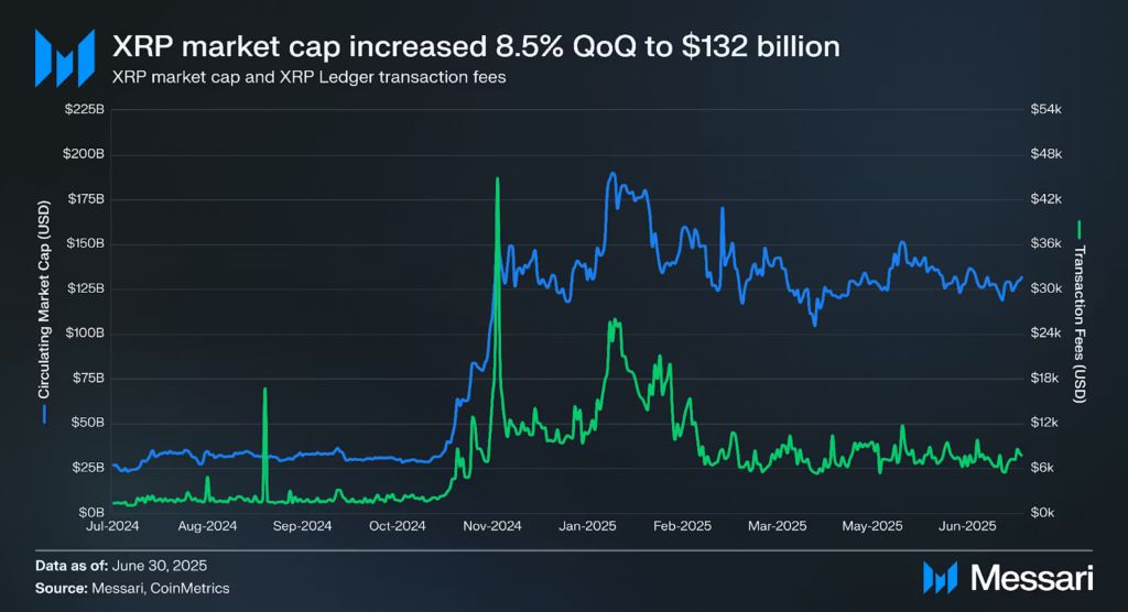 XRP Ledger (XRPL) Q2 2025 : Record RWAs, XRP Growth, and Stablecoin Momentum image 3