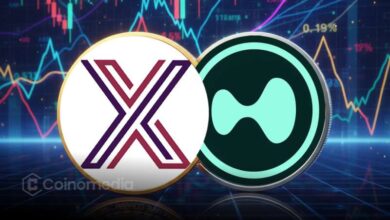 EdgeX and Hyperliquid Lead 24H Fee Charts with $1.8M