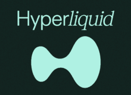 Solana 之后的下一个“链上赌场”，Hyperliquid 牛市淘金指南