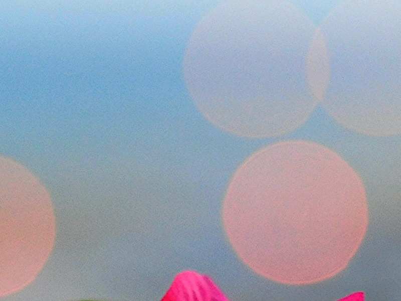 美股异动 | 减肥药概念股走强 硕迪生物(GPCR.US)涨超5%