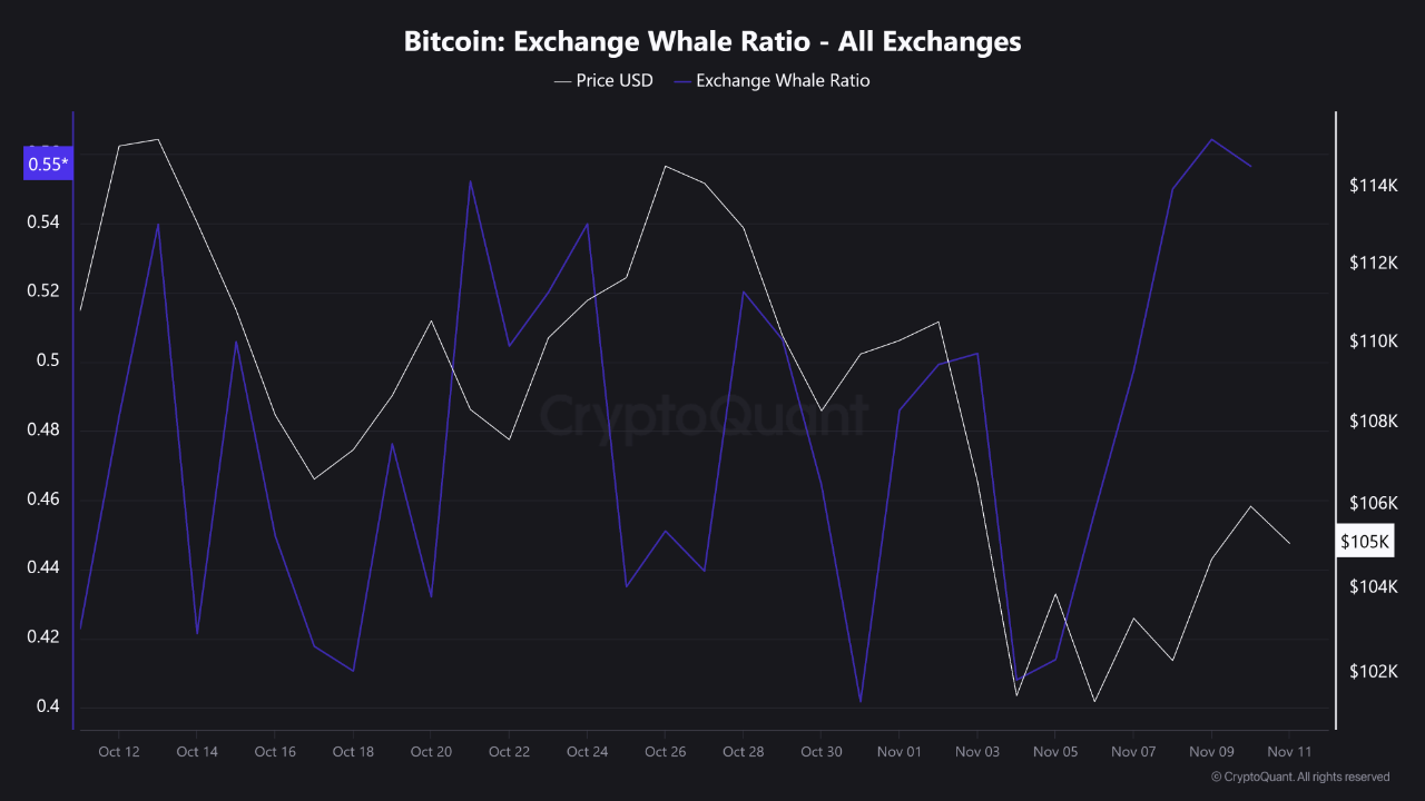 Rebote de Bitcoin próximamente: razones por las que sucederá image 0
