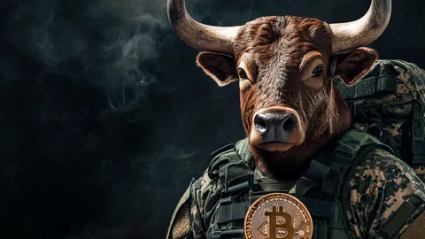 Bitcoin en camino a los 108.000 USD: ¿BTC Bull Token será el próximo en explotar?