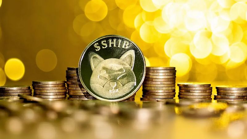 Shiba Inu Revisa El Futuro De Shibarium: Expansión Blockchain, Impulso De DApps Y Respuesta A Escépticos