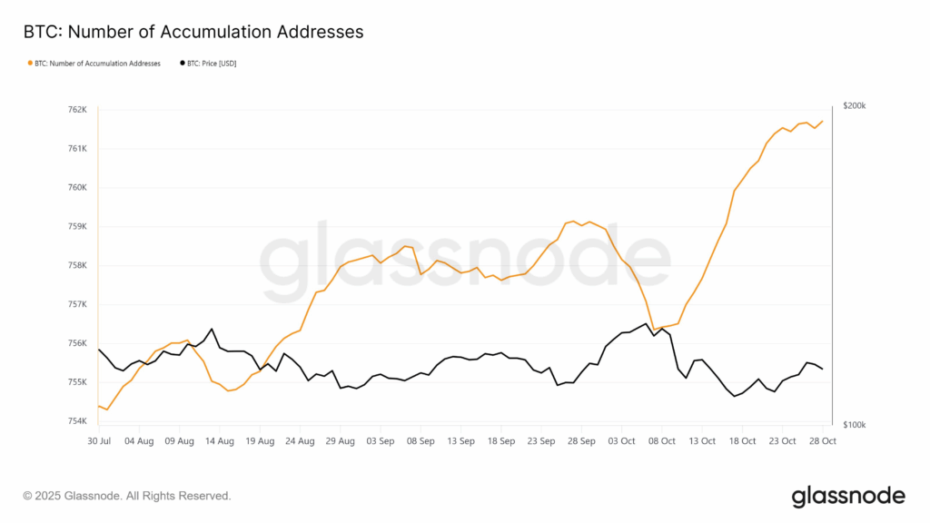 ربيع ملتف 3 مقاييس تُظهر أن البيتكوين في وضع يُمكّنها من اللحاق بارتفاع سوق الأسهم قريبًا image 1