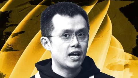 YZiLabs, respaldada por Changpeng Zhao, lanza un golpe de estado en la sala de juntas de la firma de tesorería de BNB, BNC