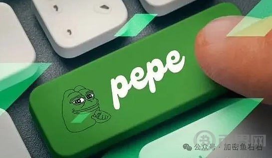 6.9万亿枚PEPE一夜之间神秘蒸发 Q4会有超级行情 布局热门代币资产翻20倍 image 0
