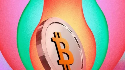 ما هو مستقبل شركة خزينة Bitcoin؟