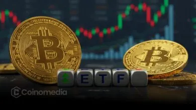 Dòng tiền rút khổng lồ 536 triệu đô la đổ vào Spot Bitcoin ETF