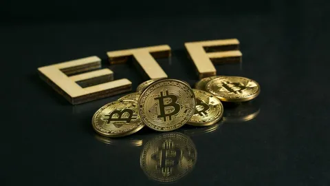 Crypto ETF Inflows Surge Ahead of Ethereum ETF Launch