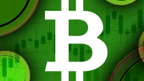 BlackRock Quietly Accumulated 3% of Bitcoin, What Does It Mean?