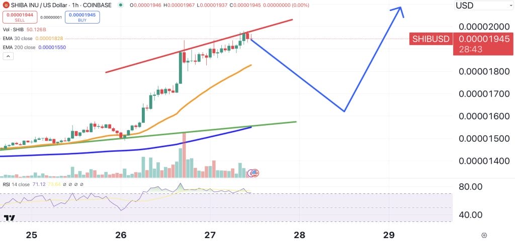 Can Shiba Inu’s Surge Make Millionaires in 2024? SHIB Price Analysis image 1