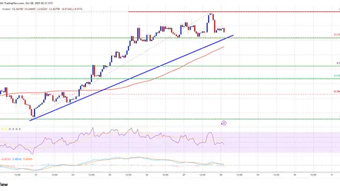 Прогноз цены XRP: консолидация продолжается — быкам нужен новый импульс для прорыва