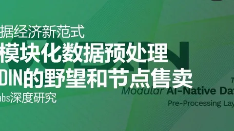 Novo paradigma da economia de dados em IA: a ambição do DIN e a venda de nós sob a ótica do pré-processamento modular de dados