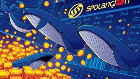 SOL Selling Activity: Crucial Warning from Three Whale Addresses