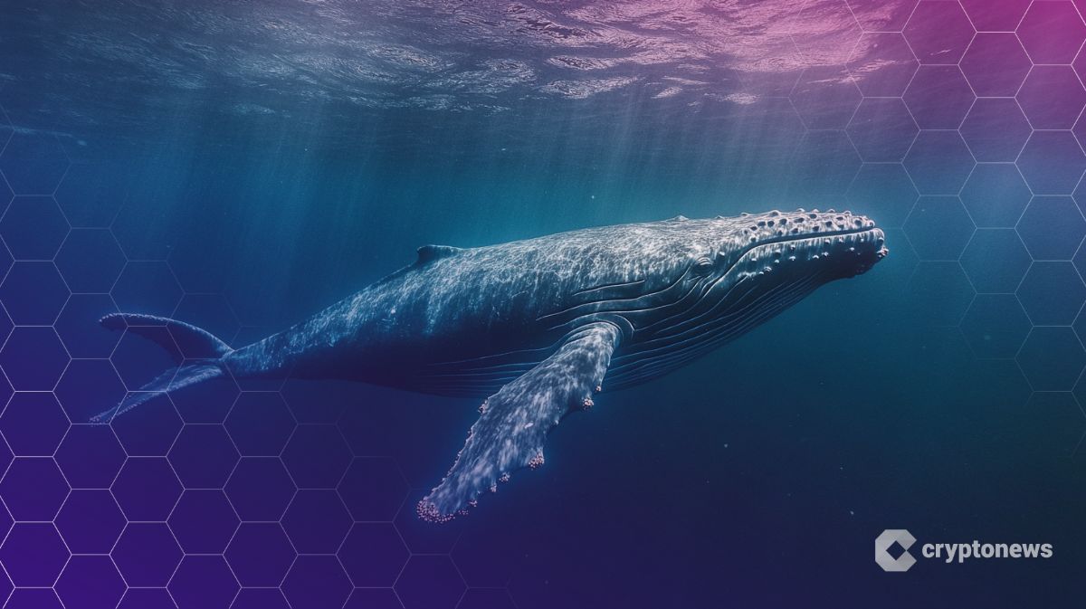 Crypto Whale Nets $10 Million in Profit on 40x Leverage Bitcoin Short