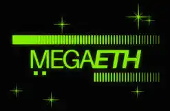 MegaETH究竟是怎麼分配公募份額的？