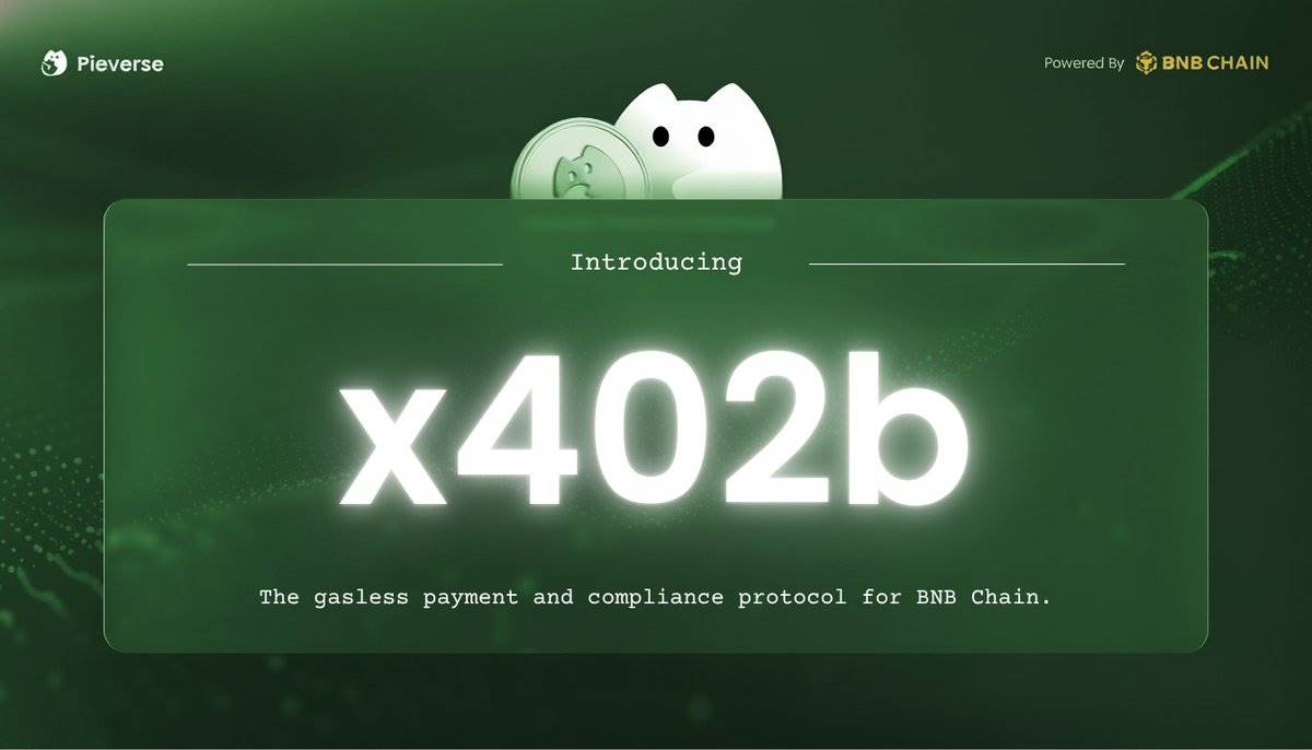 Где находятся возможности для активов на BSC и Solana, пока x402 празднует на BASE? image 8