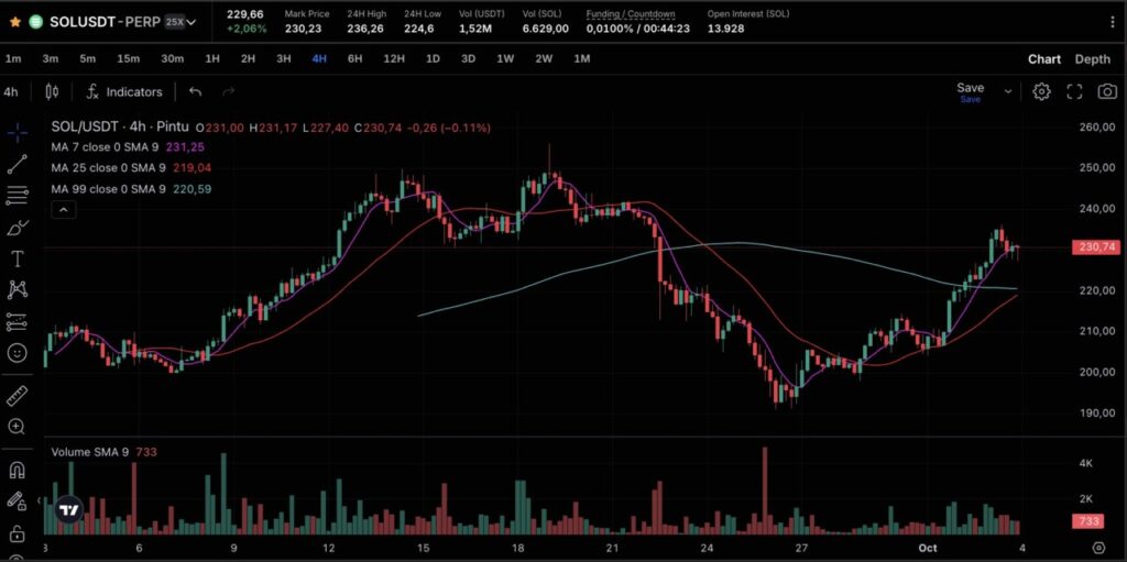 3 Aset Crypto yang Sering Jadi Korban Short Squeeze image 2