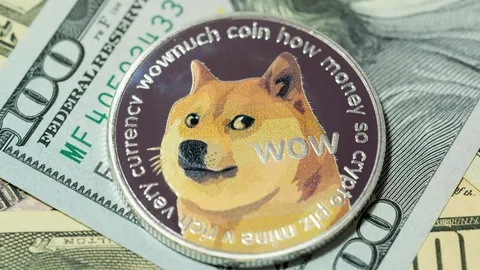 Dogecoin Faces Price Correction as Whale Activity Declines