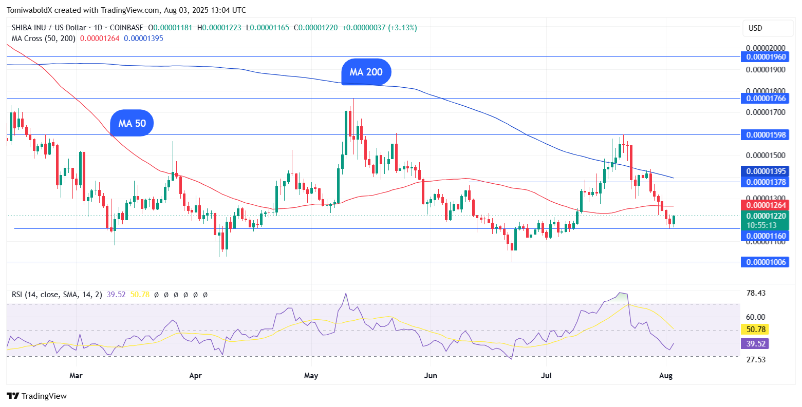 Shiba Inu Major Dev Unveils Ecosystem's Top Priority as SHIB Price Dips