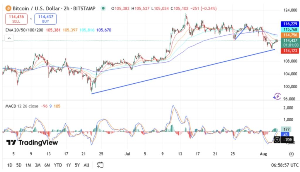 10 Crypto yang Berpeluang Naik 2026: Proyeksi di Dunia Investasi Digital image 0